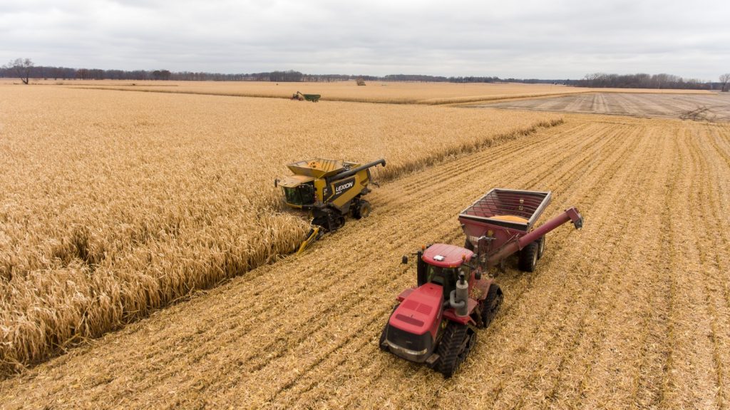 l'agrivoltaisme en Europe : une révolution énergétique